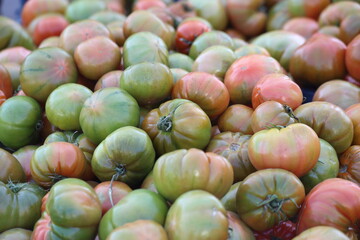Pantano Romanesco tomatoes on open-air markets