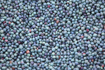 close up of top view of terebinth berries