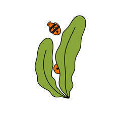 A cartoon drawing of a fish and a bug on a green leaf