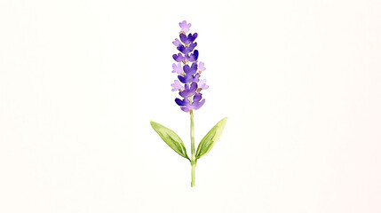 Naklejka premium A purple flower with green leaves is drawn in watercolor