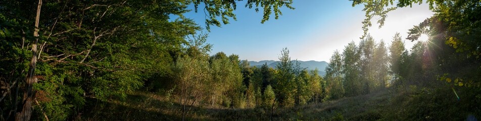 Beautiful summer alpine panorama with green forested mountains.
