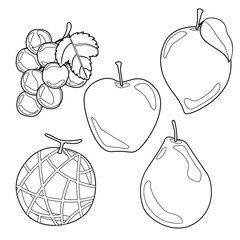 set of various monochrome fruits for painting, coloring, kids education or other. vector, illustration design