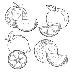 set of various monochrome fruits for painting, coloring, kids education or other. vector, illustration design