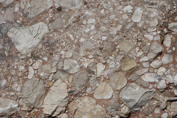 a conglomerate composed of rounded to subangular gravel-size clasts.