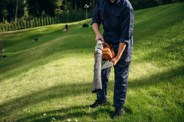Working by using leaf blower. Professional gardener is on the lawn