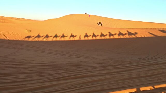 merzouga desert in morocco with camel caravan shadows on golden sand dunes at sunset 