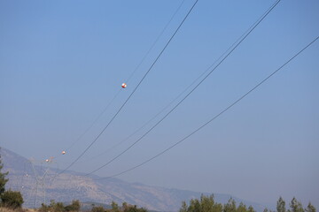 power lines and marker ball 