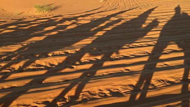merzouga desert in morocco with camel caravan shadows on golden sand dunes at sunset 