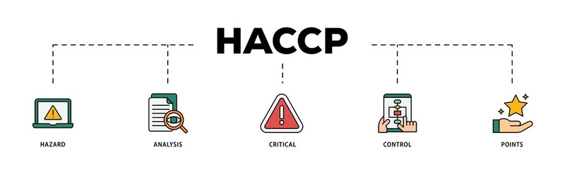 HACCP infographic icons flow process which consists of hazard analysis and critical control points acronym in food safety management system icon live stroke and easy to edit .