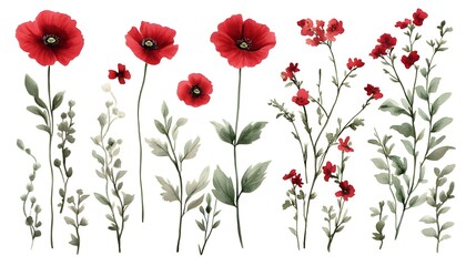 Fototapeta premium Watercolor Painting of Red Poppies and Greenery