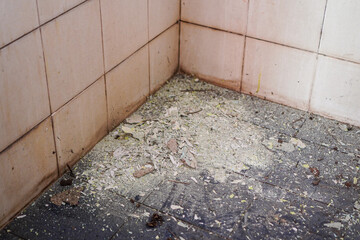A corner of a room with old tiles and a lot of debris on the floor. The debris seems to be paint...