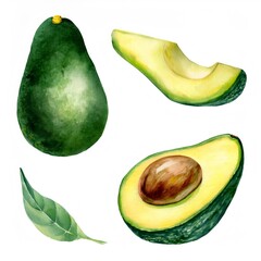 Watercolor illustration featuring whole and halved avocados with green leaves, resting on crisp white surface