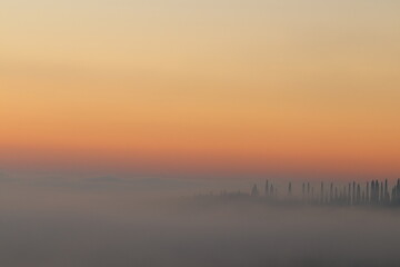 panorama con cipressi all'alba