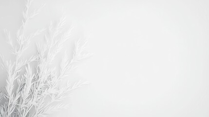 Monochrome Whispers, a delicate grayscale composition featuring soft edges, a minimalist background, and a clean, simple setting that evokes tranquility and elegance.