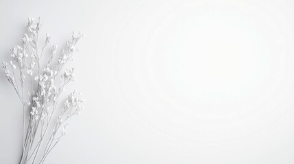 Monochrome Whispers, an elegant grayscale scene featuring soft edges, a minimalist backdrop, and an uncluttered setting that evokes serenity and calm.