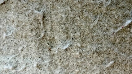 Textured synthetic fiber highlighting intricate details