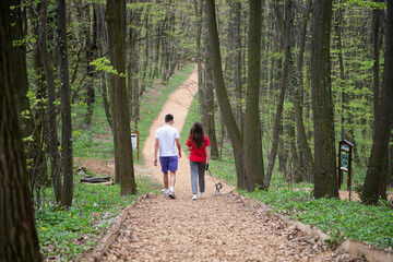 Obraz premium A young girl and a boy are walking through the forest with their dog