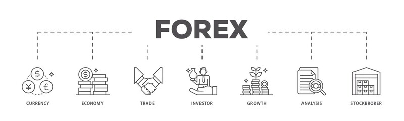 Forex infographic icons flow process which consists of currency, economy, trade, investor, growth, analysis and stockbroker icon live stroke and easy to edit .