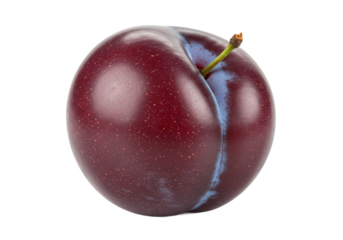 A shiny purple plum, isolated on white background, no depth of field, sharp