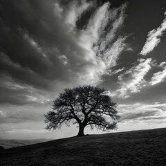 Obraz premium Minimalist Black and White Tree on Hill