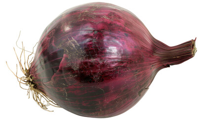 Single red onion bulb isolated on transparent background