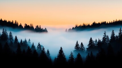 Fototapeta premium Golden hour forest nature concept. A serene landscape showcasing misty forests at sunrise with a colorful sky.