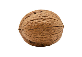 Obraz premium Walnut isolated on white background, front view, no depth of field, sharp