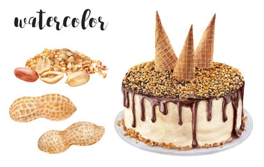 Hand-Painted Watercolor Peanut Cake and Peanuts Botanical Illustration Isolated on White
