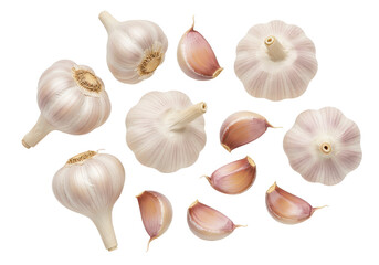 Fototapeta premium A collection of whole garlic bulbs and individual garlic cloves in varying orientations, isolated on white background, top view