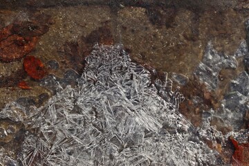 Eiskristalle in einer Pfütze