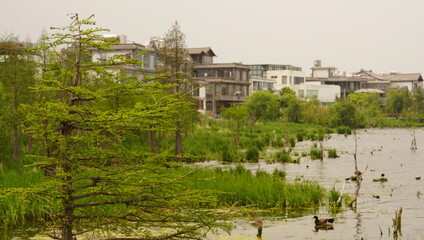Erhai Lake, Yunnan Province, China