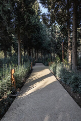 An alley in the park 