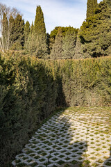 Ornamental Garden with Topiary Landscaping