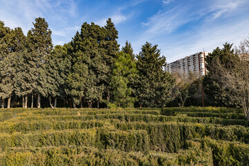 Ornamental Garden with Topiary Landscaping