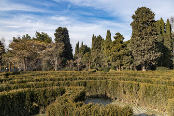 Ornamental Garden with Topiary Landscaping