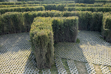 Ornamental Garden with Topiary Landscaping