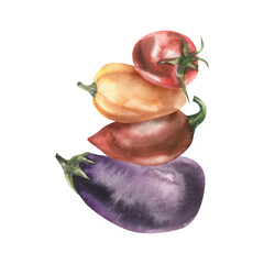 Fresh vegetables composition with eggplant, sweet red and orange pepper, red tomato watercolor illustration. Hand drawn vegetarian food clipart for eco market,grocery shop label, logo design