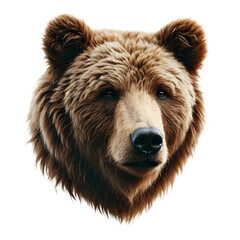 Fototapeta premium A wildlife-inspired bear face PNG with a clear background - Bear PNG - Transparent background bear image 