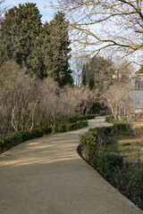 An alley in the park 