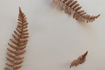 Dry fern leaves on a light background with space for text.