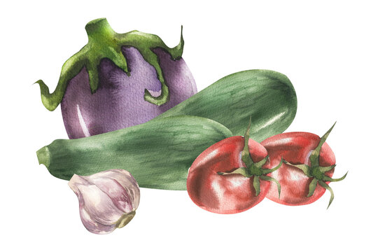 watercolor vegetables: eggplant, zucchini, tomatoes, garlic clip art preview