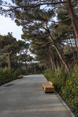 An alley in the park 