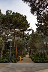 An alley in the park 