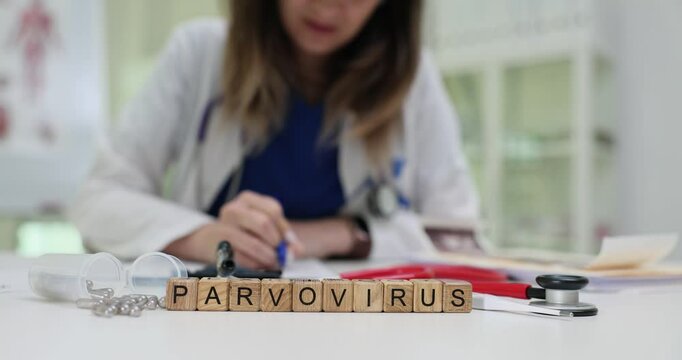 A healthcare professional examines documents on parvovirus in a clinical setting, ensuring a detailed understanding