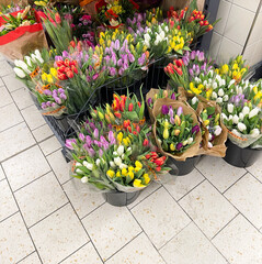 Display of vibrant tulips in various colors, including red, yellow, white, and purple, arranged in black buckets on a tiled floor inside a shop.
