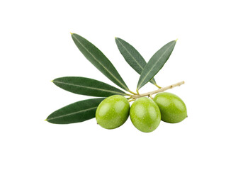 A small branch of green olives with dark green leaves, isolated on white background