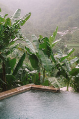 Obraz premium Infinity pool surrounded by tropical plants during the rainy season. Raindrops fall on the water, and mist covers the distant jungle and hills. Tropical weather, changing climate, and seasonal tourism
