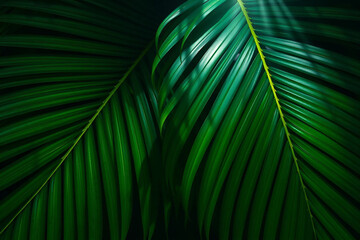 Fototapeta premium Vibrant Green Tropical Leaves