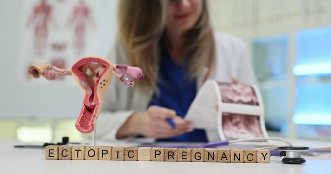 This is an educational depiction of ectopic pregnancy that includes a model and a variety of informative materials