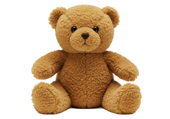 Obraz premium teddy bear isolated on white background, no depth of field, sharp.